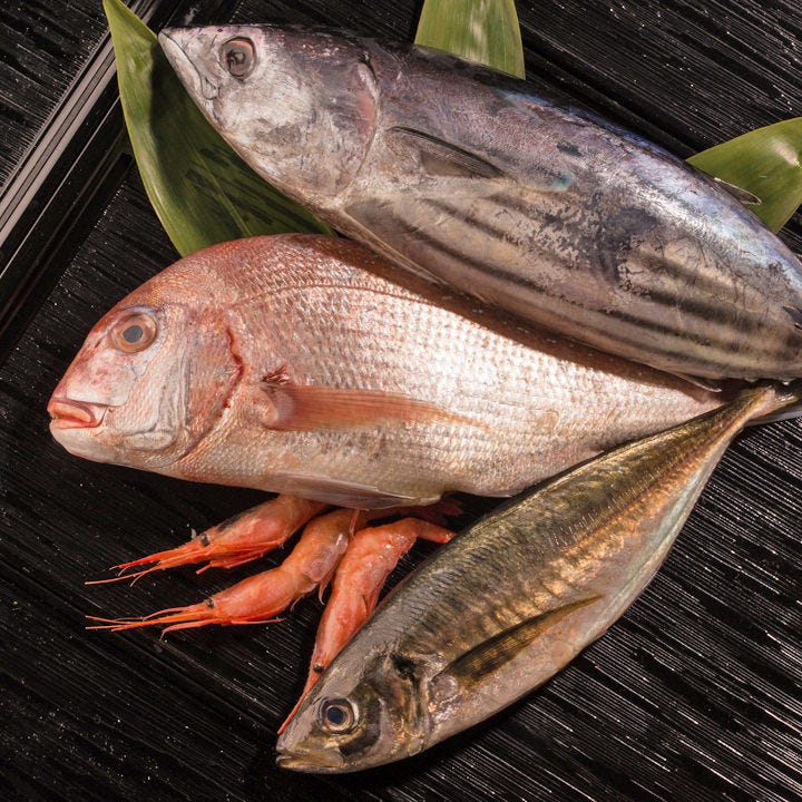 雪の芽 自慢の食材 その日獲れたばかりの新鮮な魚 ぐるなび 雪の芽 自慢の食材 その日獲れたばかりの新鮮な魚 ぐるなび