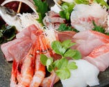 全国の漁港からその時期一番美味しい旬魚を毎日直送【静岡県】