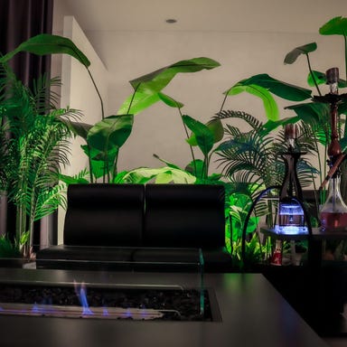 Magneticシーシャラウンジバー_こだわりの空間