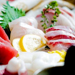 鮮魚五種盛り合わせ（二人前～四人前）