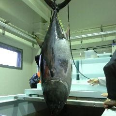 近畿大学水産研究所 グランフロント大阪店