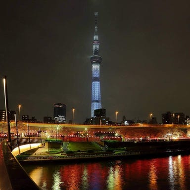 屋形船 池上_貸切屋形船【瓢(HISAGO)】隅田川お花見遊覧〜平日15名様から