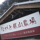 希少な山口県産地鶏『黒かしわ』を自社養鶏場で飼育しています