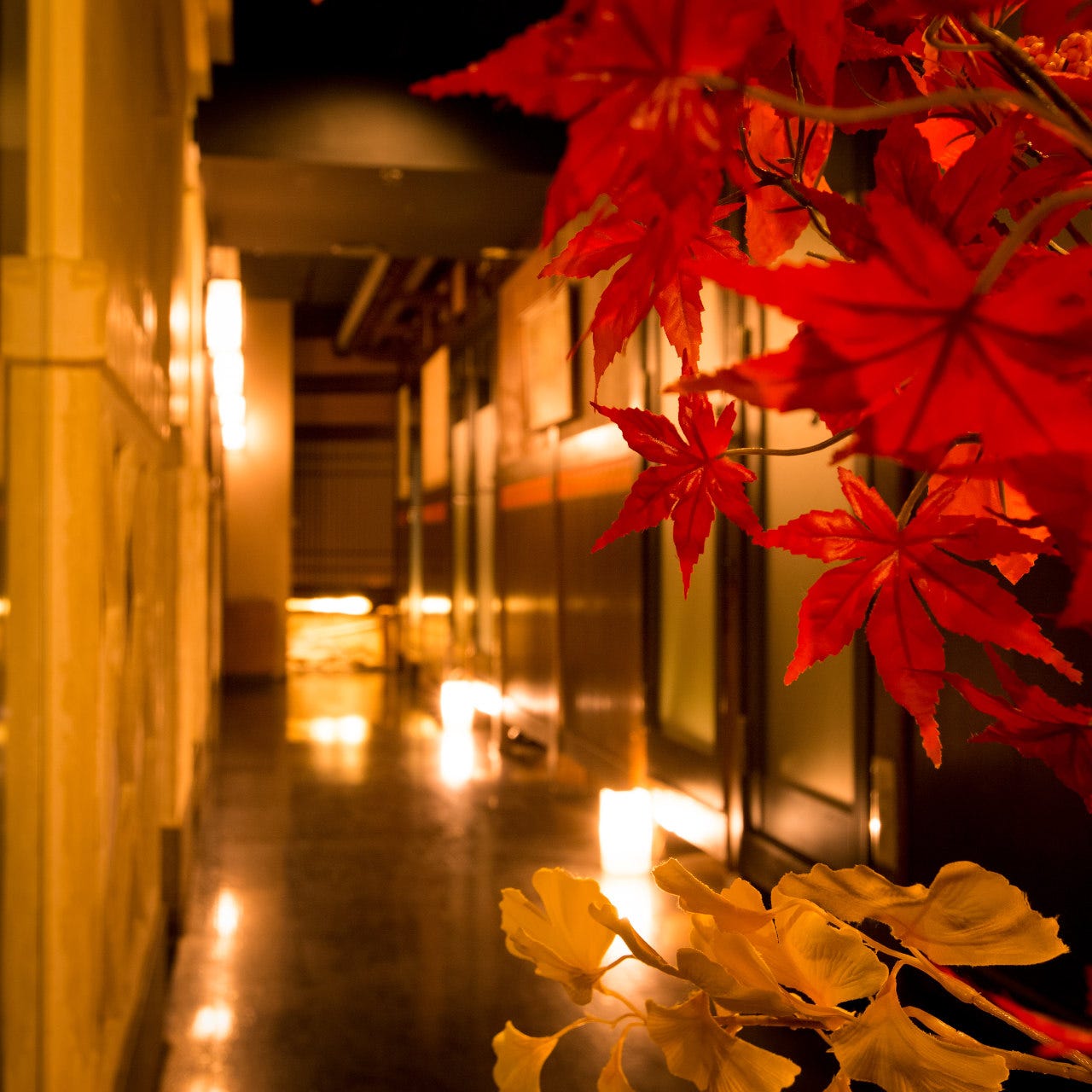 和食郷土料理個室居酒屋 高崎屋 高崎本店 写真 1ページ目 1件 11件 ぐるなび
