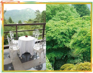 箱根の山が目の前に広がるレストラン