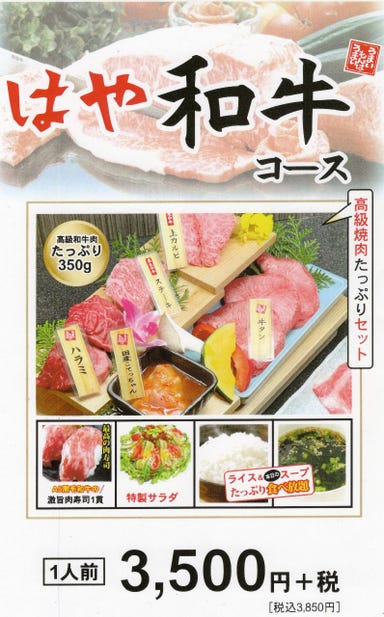 民芸肉料理 はや 外環東大阪店  メニューの画像