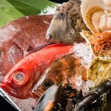 海なし県、埼玉ですが・・・食材のこだわりは止まりません！店主厳選の、新鮮な魚たちをその日のうちに調理し、素材本来の旨みを引き出します！！