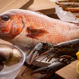 日本屈指の好漁場『豊後水道』直送の鮮魚が多数