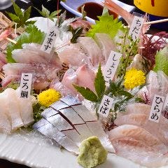 平塚　地魚の刺身盛合せ