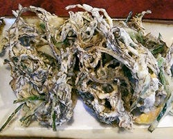 焼肉 居酒屋 はなゆう 宜野湾 北中城 中城 沖縄料理 ぐるなび