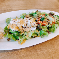 銀座ワイン食堂 パパミラノ サピアタワー店_サラダプレートランチ