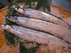 金太楼鮨 筑波学園店 