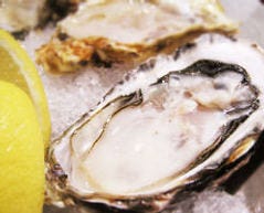 Up Town 銀座 生牡蠣とカリフォルニアワインのお店 