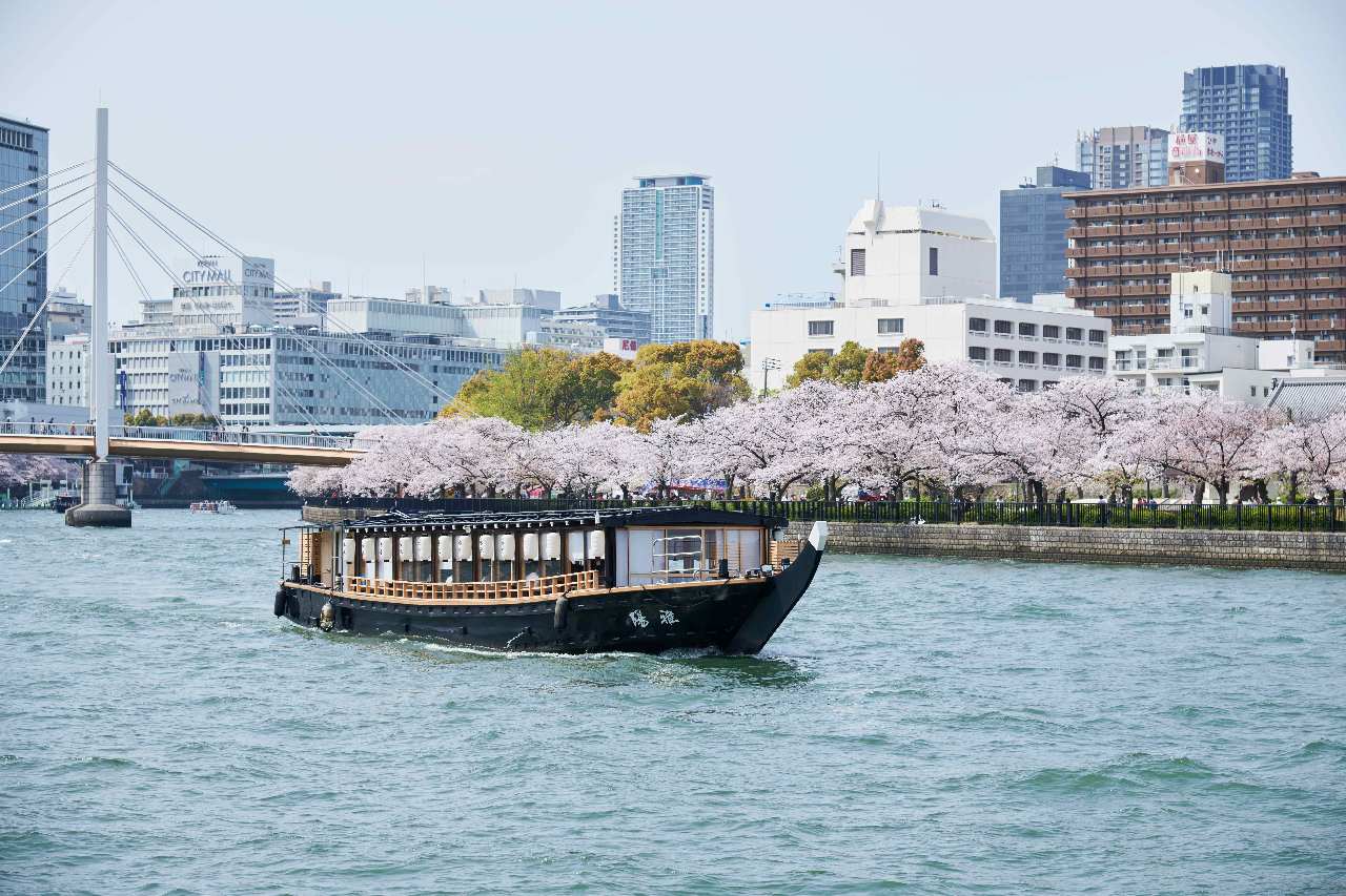 川から眺める四季の絶景