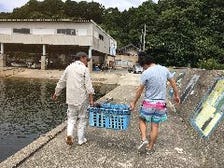 石川県と魚や出身店主の厳選鮮魚達