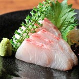 鹿児島認定の魚!錦江湾で水揚げ
された『かのやかんぱち』