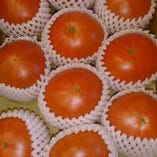 スーパーフルーツトマト(カプレーゼに使用。)【北海道】