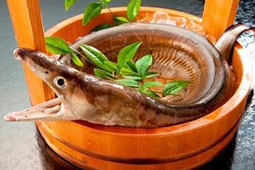 ふぐ・かに・旬魚 ふぐの里