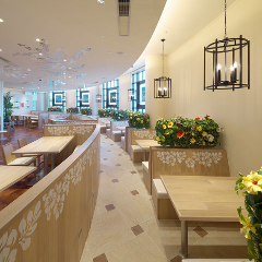 カフェカイラ 舞浜店