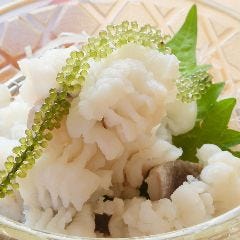 すし処 錦_一つ鱧落とし梅肉
