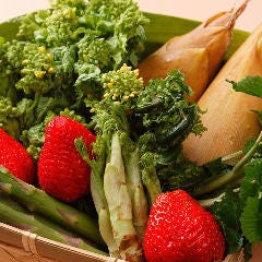 すし処 錦_季節の野菜も厳選して使用。
