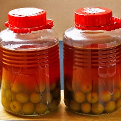 すし処 錦_自家製梅酒