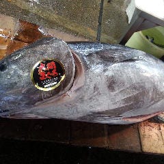 すし処 錦_【マグロも厳選】
大とろをはじめ人気のマグロは、日本海／北海道沖でとれた本マグロを使用。本マグロ独特の香りと旨味を追求して仕入れております。ぜひ味の違いを感じてください。