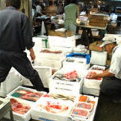 すし処 錦_その日限りのお魚も多数！東部中央市場で直接目利き。