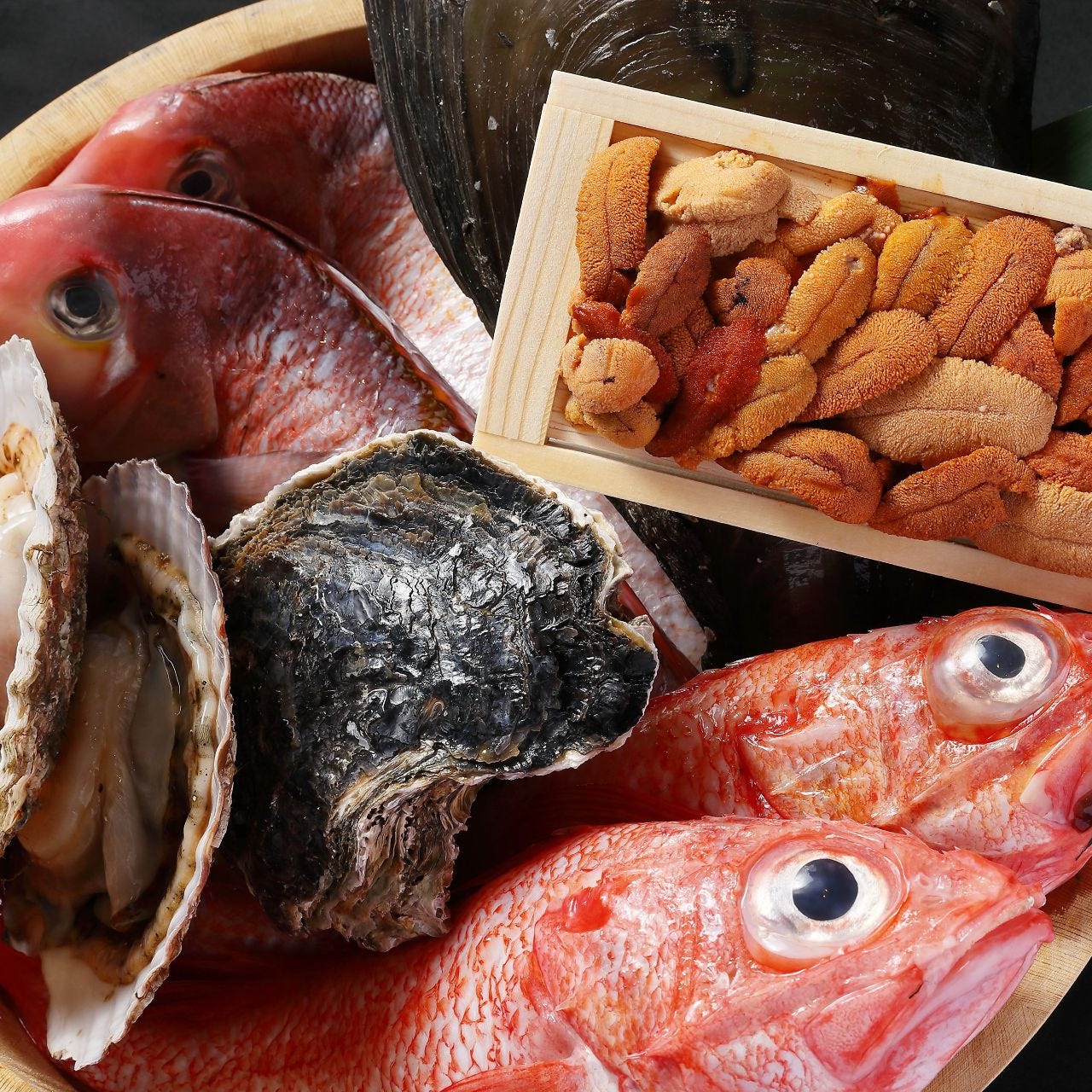 新鮮鮮魚を使用した宴会コース