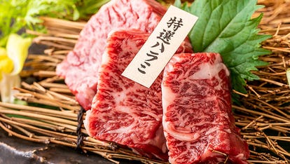 お子様連れランチに最適 船橋駅周辺でおすすめしたい人気のお店 ぐるなび