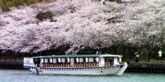大阪 桜ノ宮 屋形船「大喜丸」 