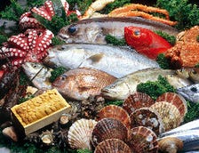 季節の”旬魚”を贅沢に愉しむ