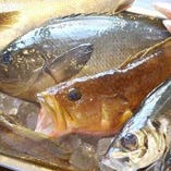安心・安全の産直鮮魚：石川/大分/他【石川県】