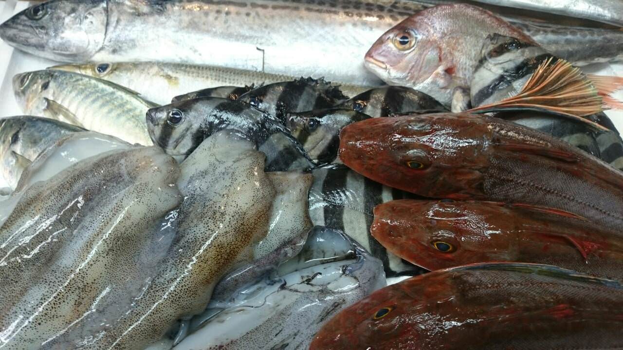 富山県 岩瀬漁港直送の新鮮な魚介類
