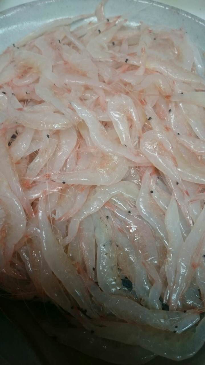 特選 幻の日本酒 勝駒と富山直送の白えび 氷見ぶり 岩ガキ ホタルイカ食べ尽くしコースの詳細 海活楽宴 きゅんとや 銀閣寺 北白川 出町柳 居酒屋 ぐるなび 特選 幻の日本酒 勝駒と富山直送の白えび 氷見ぶり 岩ガキ ホタルイカ食べ尽くしコースの詳細 海活楽宴 きゅんとや 銀閣寺 北白川 出町柳 居酒屋 ぐるなび