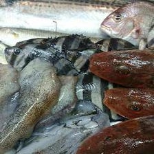 富山県 岩瀬漁港直送の新鮮な魚介類