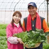 兵庫県『池上農園』池上 義貴さん 電子技法を活用した炭とスチームで葉物野菜を作っています