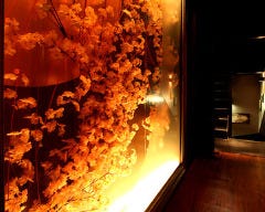 完全個室 和ダイニング 水面月 北千住店