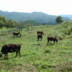 知らぬ間に溶けていく、上品な旨み