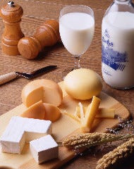 ひがしもこと乳酪館