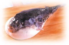 《3年ふぐ》Ｃコース　（税サ込）