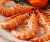 活き車エビの特製ソース