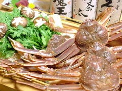 茶太