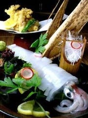 九州の地魚料理 侍 浜松町店