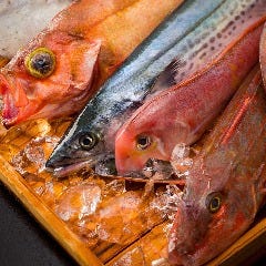 日本海で水揚げされた新鮮鮮魚！！