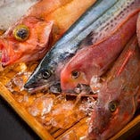 日本海で水揚げされた新鮮鮮魚！！【新潟県】