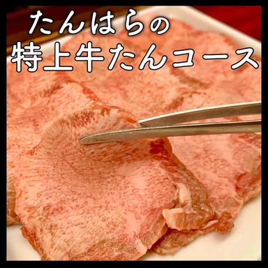 たんはら 木更津本店_2時間飲み放題コースお得で美味しい