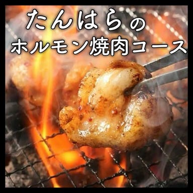 たんはら 木更津本店_【2時間飲み放題付】たんはらのホルモン焼肉コース