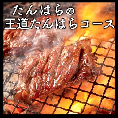 たんはら 木更津本店_送別会、歓迎会1番人気!【2時間飲み放題付】たんはらの王道たんはらコース