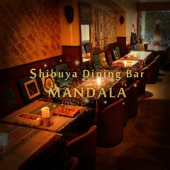 ネパール料理＆BAR MANDALA マンダラ 渋谷店 